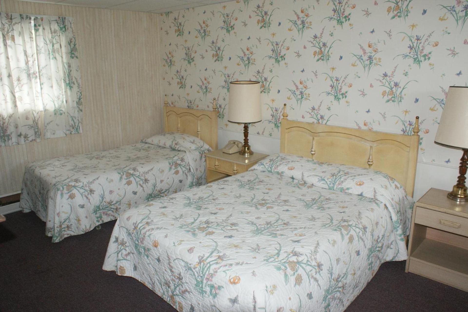 Northern Peaks Motor Inn Ґорем Екстер'єр фото